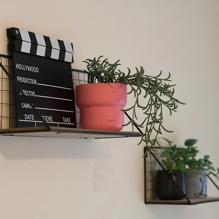 Modern Cozy In *